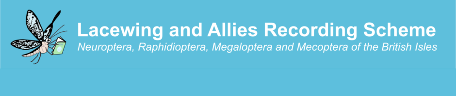 Lacewing and Allies Recording Scheme